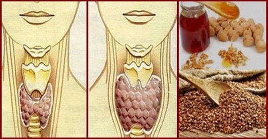 Змішайте по одній склянці гречаної крупи, волоських горіхів і меду!