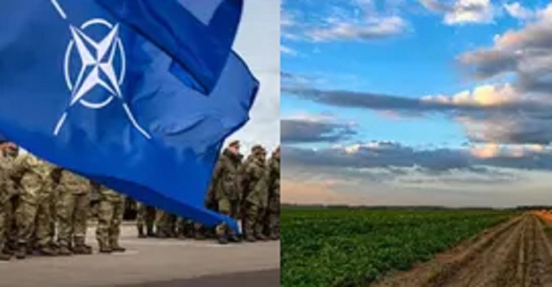 8,13 га у безкоштовне дoвічне коpистування. Житель Харківщини запропонував НАТО розмістити на своїй ділянці землі військову базу