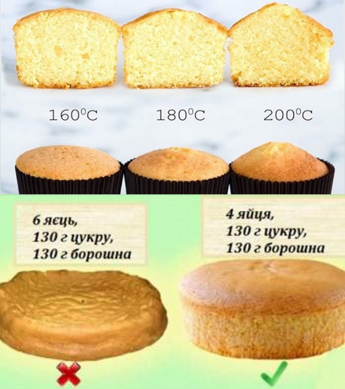 Головні правила смачного, повітряного і м’якого бісквіта