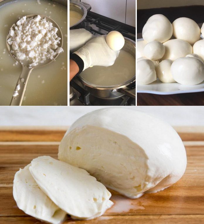 Готуємо домашній сир моцарелла. Рецепт, з яким справиться кожна господиня