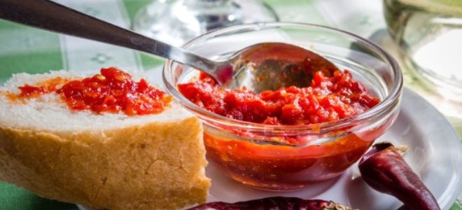 Спробуєте хоч раз і полюбите НАЗАВЖДИ! Грузинський соус “Сацебелі” готую лише за цим рецептом!