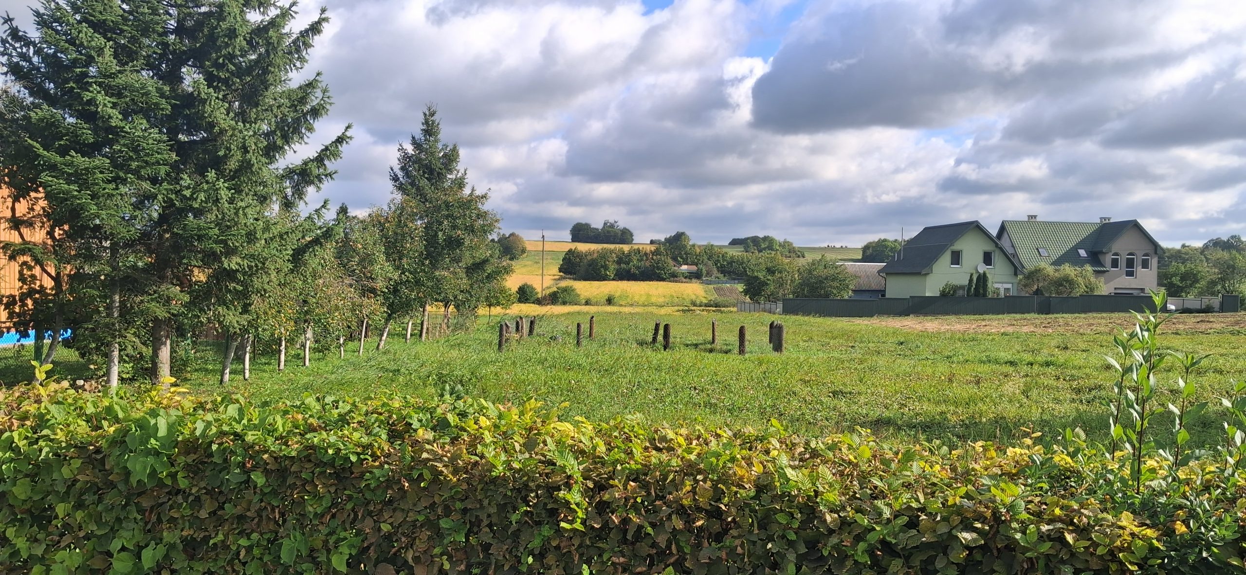 – Що? Важко до рідної мами приїхати? Я ж для тебе стараюсь! Хіба ті яблука в магазині такі, як у нас? А м’ясо? Там одні хімікатu! – казала мама