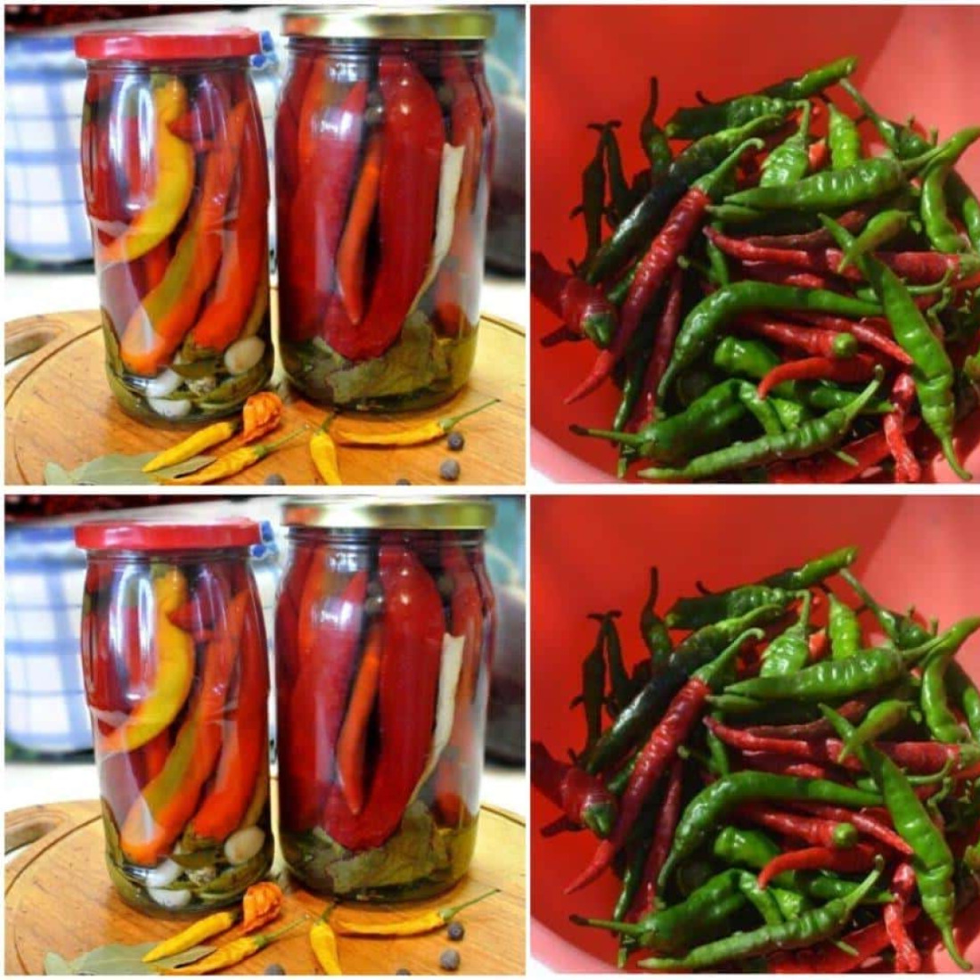 Маринований гострий перець на зиму: готуємо неймовірно смачну заготовку, яка прийде до смаку всім любителям гостреньких, пікантних страв
