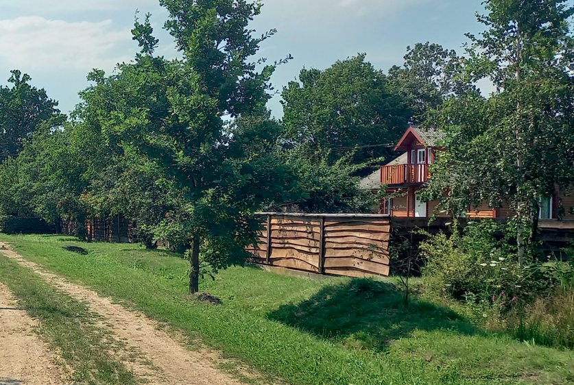 – Хочеш гарно заробити – роби, як я кажу! – Я з такої біди сестру витягла, не знаю, де б вона без мене була. Та не на таку вдячність розраховувала