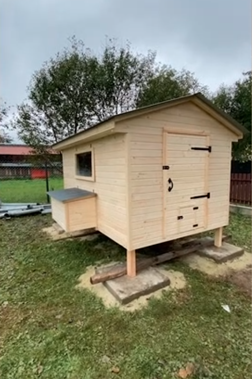 Українець створив VIP-курятник: мережа “вибухнула” реакціями