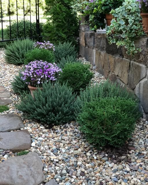 – Світлану свою не приводь. Це мій ювілей. Не хочу бачити її за своїм столом! – категоричний тон матері вибив з рівноваги Антона. Він спробував заперечити: – Мамо, вона моя дружина. Що я їй скажу? Що вона не запрошена? 