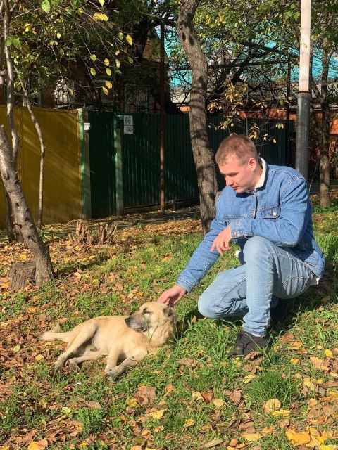 Але чай бабусі так ніхто і не дав. Я помічав, що в такі моменти вона дивиться свою мильну оперу без посмішки. Лише дивиться на екран порожнім поглядом і не теребить хустинку в руках. У п’ятницю я повернувся додому раніше, ніж зазвичай. Винна в цьому Оля, моя дівчина, з якою ми домовилися зустрітися в центрі і сходити в кіно.