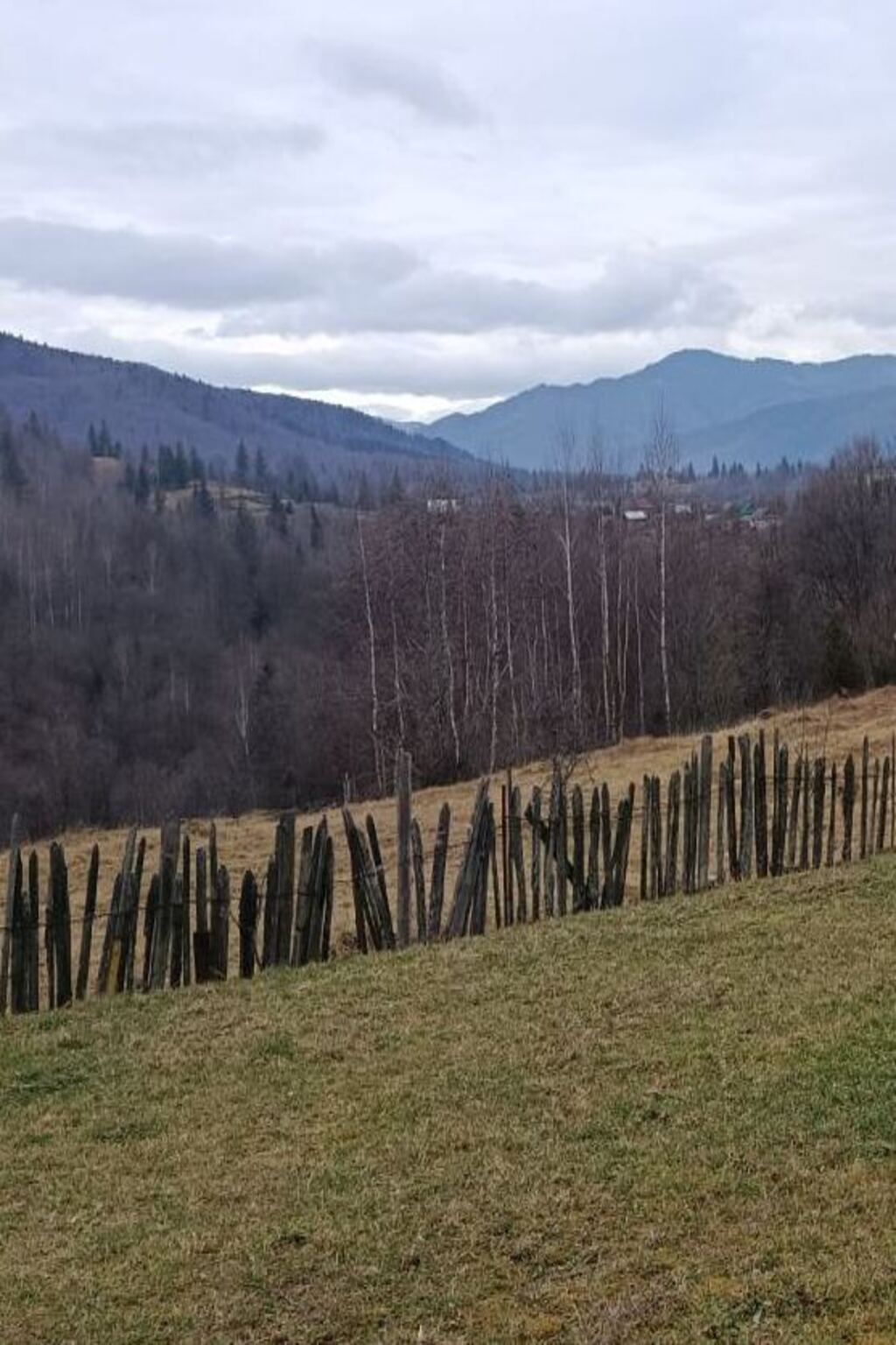 — Ромчику, — покликала мама. Він вийшов у коридор. Вона стояла біля дверей з валізою. — Я поживу окремо, — сказала вона швидко, ніби боялася передумати. — Ти залишаєшся з татом.