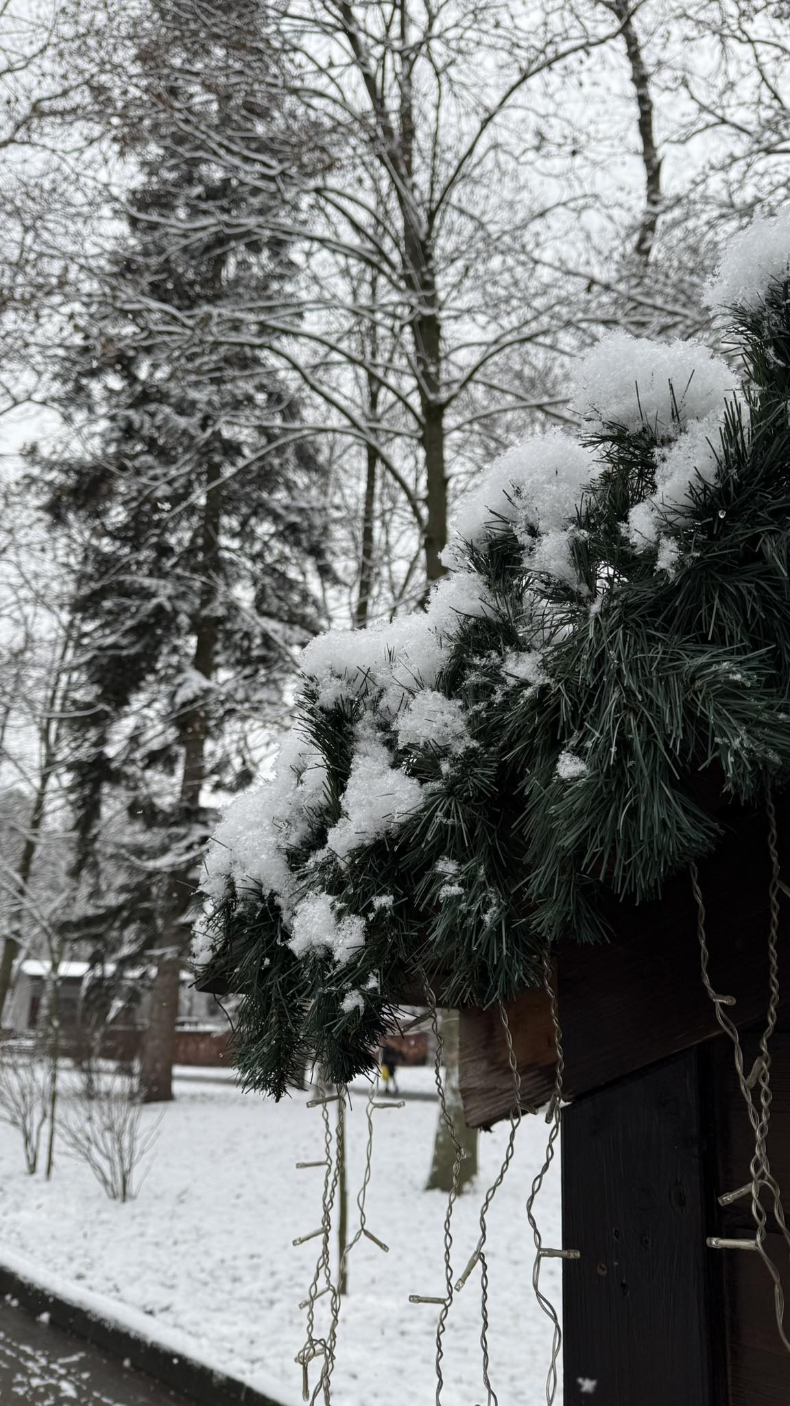 Марія вдяглася, накинула теплу вовняну хустку — подарунок сина з Америки — і вийшла на ґанок. Повітря було таке чисте, що його хотілося пити. Сніг під чоботами скрипів так голосно, ніби розповідав старі казки. — З Різдвом, Маріє! — почула вона голос сусідки Ганни. Та вже розчищала стежку біля свого тину. — З прийдешнім, Ганнусю! — відгукнулася Марія. — Нехай у хаті буде повно, а на серці ясно. Вона пішла до криниці. Вода в цей день здавалася особливою — холодною до болю, але солодкою. Повернувшись, Марія взялася за господарство. У неї не було дванадцяти страв, як колись, коли за столом сиділо десять душ. Але кутя — головна гостя — була обов’язковою. Вона дістала стару глиняну макітру. Кожен рух був наповнений спогадами. Ось тут, на краєчку, була невеличка щербинка — це син Юрко малим намагався поцупити розтертий мак. А цей товкач ще пам’ятав руки її матері. Марія терла мак повільно, і по хаті розливався густий, солодкий аромат дитинства