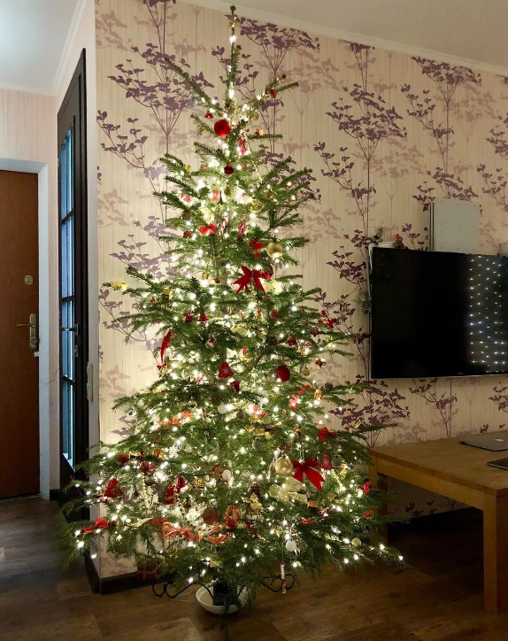 — Знаєш, хлопче, — почав Іван. — Людина щаслива рівно на стільки, на скільки вона це сама собі дозволяє! Хочеш бути щасливим — будь! Тільки відпусти із себе всі образи на батька, усю злість, — чоловік хитро усміхнувся й нахилив голову. — Вони тобі не потрібні, якщо ти дійсно хочеш стати щасливим. Батька я тобі, звісно, замінити не зможу, але сином ти мені стати зможеш. Це точно