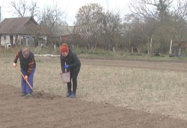 Далі так продовжуватися не може, – сказала Марія після чергового звільнення Миколи. – Я тобі давно хотіла сказати, що треба переїжджати в село. Там же ж будинок є, твій, між іншим. Але чомусь там влітку відпочивають усі окрім нас. Дід хату тобі залишив. Тобою користуються, а ми тут виживаємо!