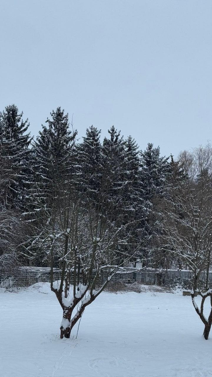 Ну, коли вже ті онуки будуть? — Ганна Петрівна, жінка кремезна та владна, витерла руки об свій незмінний фартух у квіточку і з неприхованою докорою подивилася на невістку. — Олексію, сину, ви ж уже пів року як побралися. Скільки можна чекати? — Мамо, ми ж тільки почали жити разом, — зітхнув Олексій, не відриваючись від свого телефона. — Куди нам поспішати? Дай нам хоч трохи видихнути. — Як це куди? — свекруха сплеснула руками. — Мені вже під шістдесят, батькові теж здоров’я не додається. Хочеться ще хоч трохи з дітьми погуляти, поки ноги носять. А твоя Наталочка, мабуть, усе про свої логотипи думає. Дизайнерка вона в нас, бачите? Картинки в комп’ютері малює, а борщу доброго зварити — то зась. Все якесь пісне, все якесь не таке, як у людей. Наталія відчула, як сльози навертаються на очі