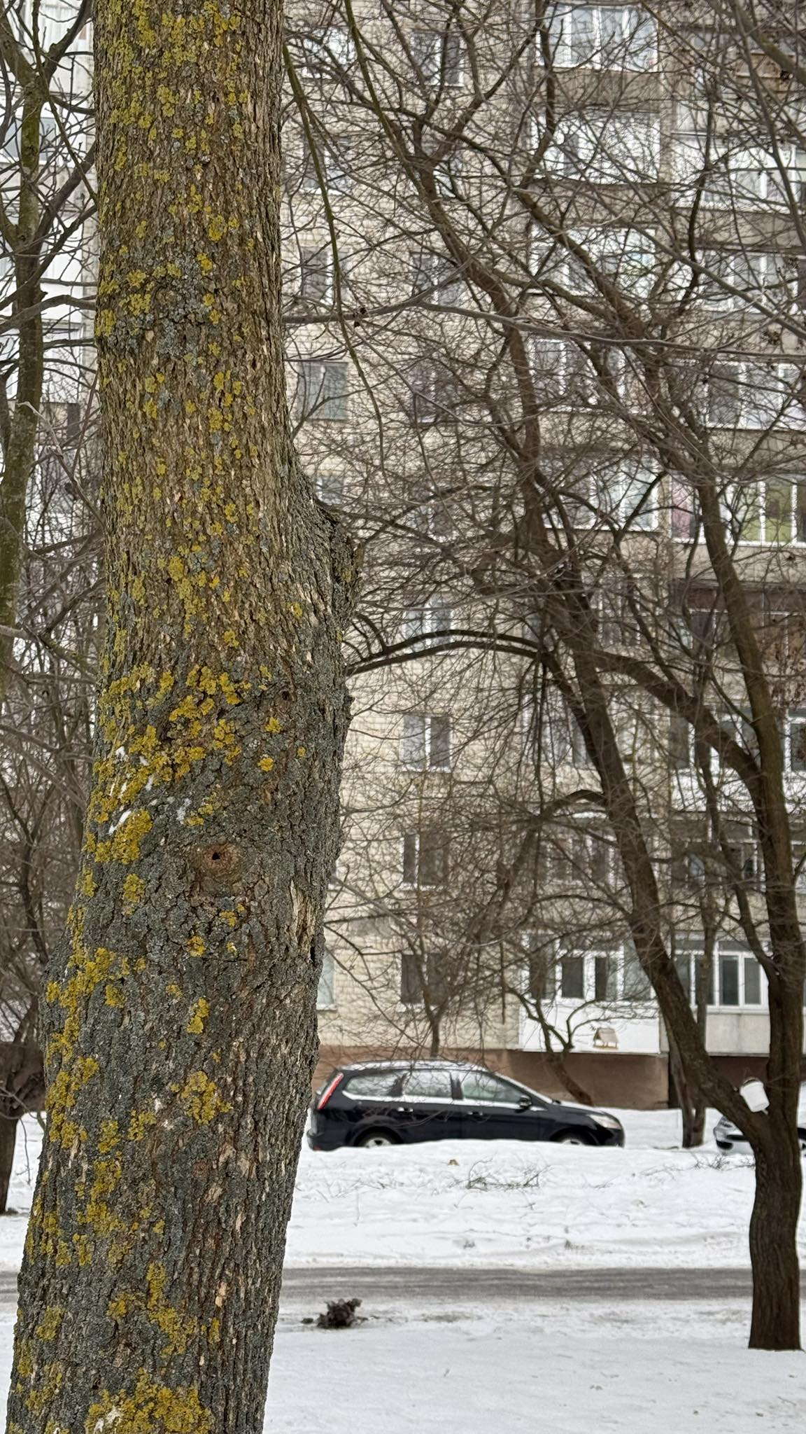 То ти мені брехав? — нарешті запитала Оксана. Її голос був дуже тихим, але в ньому відчувалася така сила, від якої Михайлу стало холодно. — Весь цей час? — Я мусив переконатися! — почав він виправдовуватися, намагаючись взяти її за руки. — Після Карини я боявся… Я думав, що всім потрібен тільки мій гаманець. Я хотів знайти ту, яка віддасть останнє заради іншого. І я знайшов тебе! Оксано, тепер у нас буде все! Ти більше ніколи не будеш працювати в кав’ярні, ми купимо тобі найкращу машину, ми об’їдемо весь світ… Вона різко відштовхнула його руки. — Що? Чому? Я ж роблю це для нас! — Для нас? — в її очах з’явилися сльози, але не радості, а гіркої образи. — Ти дивився, як я рахую копійки. Ти дивився, як я не спала ночами, працюючи на другу зміну, щоб назбирати на ту стареньку машину. Ти бачив, як я плакала від страху за життя твого вигаданого дядька! Я хотів бути впевненим… — Впевненим у чому? Що я людина? А ти сам? Хіба людина може так гратися почуттями