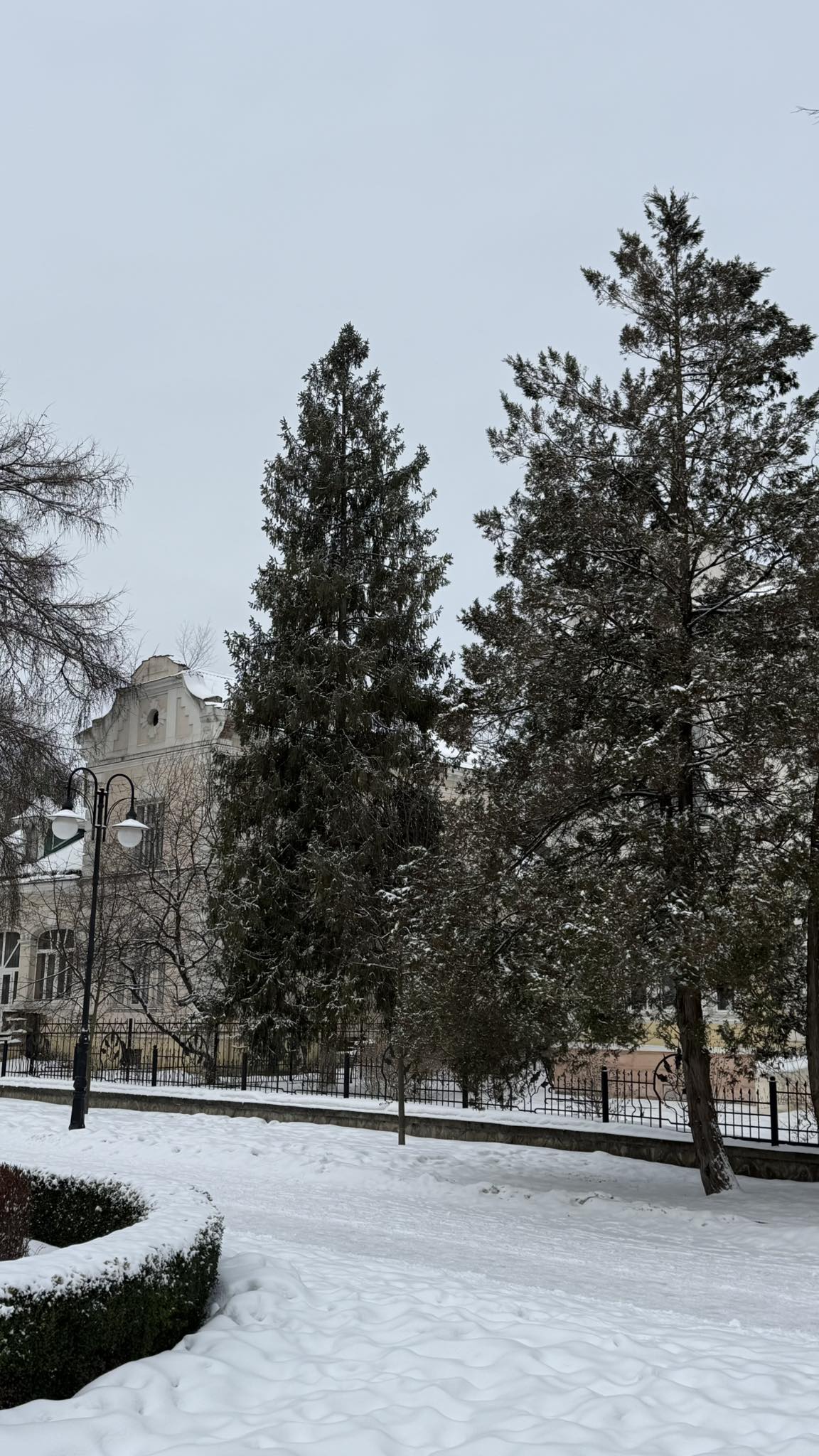 Досить, Павле, — я відчула, як у грудях закипає стара образа, змішана з гіркотою. — Ти не можеш просто прийти з оберемком розрекламованих троянд і вимагати своєї частки в його житті. Життя — це не акції на біржі. — Я його батько! — Батько?! — я мало не розсміялася в обличчя цій несправедливості. — Батьком треба бути, коли дитина вночі плаче від коліків. Батьком треба бути, коли треба вибирати між ліками й оплатою за оренду квартири. Батьком треба бути на кожному кроці, а не з’являтися, коли хлопчик уже сам уміє зав’язувати шнурки! — Я не знав… — Бо ти зник! — сльози все ж прорвалися. — Ти просто викреслив нас. Змінив номер, поїхав в іншу область. Я чула від людей, що в тебе там усе чудово, нова родина, успіх… Він зблід ще більше
