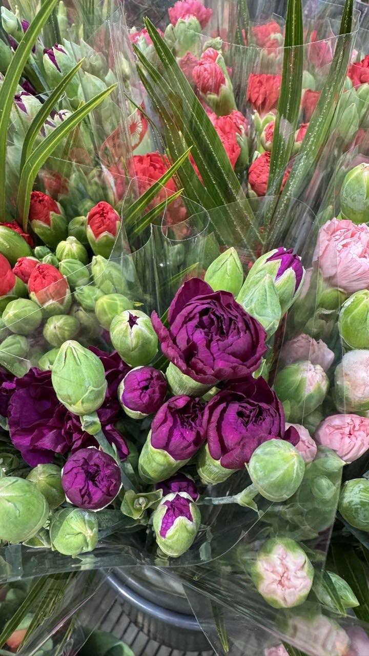 Артеме, а ти своїй дружині що подаруєш на День закоханих? — поцікавився Богдан, старший менеджер, який уже замовив для дружини величезного плюшевого ведмедя. — Нічого, — відрізав Артем. — Скоро восьме березня, тоді й подумаю про квіти. Навіщо плодити зайві витрати на придумані дати? Богдан лише похитав головою. — Послухай, я живу в шлюбі вже двадцять років і знаю одну істину: жіноче «мені нічого не треба» — це найнебезпечніша пастка у світі. Якщо ти прийдеш сьогодні додому з порожніми руками, готуй собі місце на дивані у вітальні. Причому надовго. Жінки прощають багато чого, але ігнорування їхніх очікувань у такий день — ніколи. Артем задумався. Проблема була не лише в дружині. Останні три місяці він постійно крутився біля Вікторії — нової співробітниці з юридичного відділу. Віка була яскравою, енергійною і зовсім не схожою на його спокійну дружину Марію. Отже, за логікою Богдана, обдарувати треба було обох