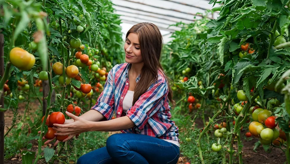 Поки я була на заробітках, ні син, ні дочка не захотіли їхати в село і доглядати бабусю. Мені нічого не залишалося, як попросити сусідку доглядати за мамою за певну плату. А цього року в кінці літа мами не стало. Я приїхала додому, і тут мої діти почали крутитися біля мене, питати, кому з них я збираюся будинок записати