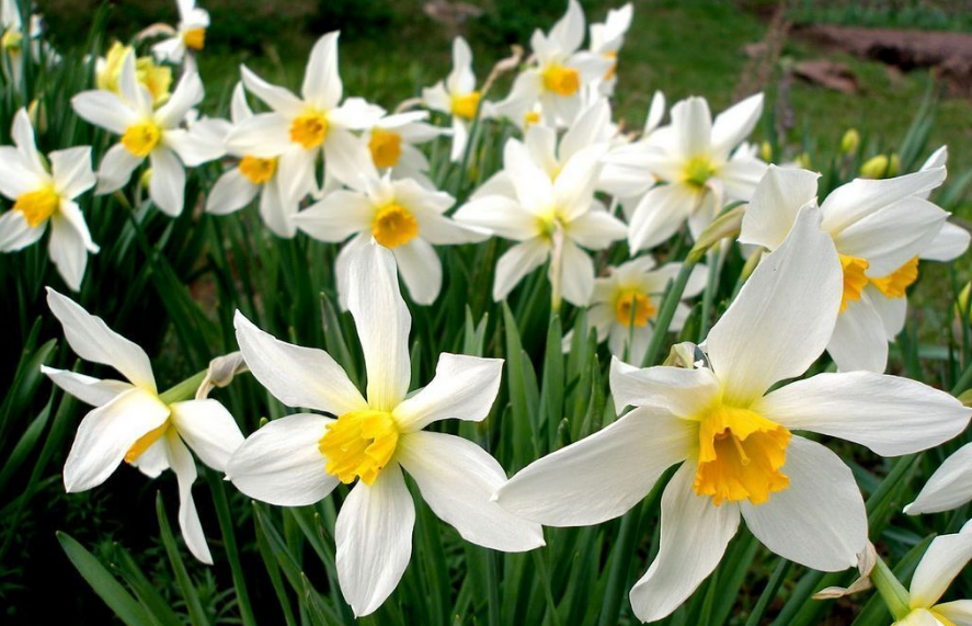 Ганно! Добрий день! Я щойно оформила велике замовлення продуктів з доставкою на вашу адресу. Там на шістсот вісімдесят гривень. Оплати кур’єру готівкою, бо в мене на картці зараз нуль, пенсію затримують. Увечері забіжу до вас, заберу пакунки. Будь вдома, не вештайся ніде, бо кур’єр приїде між другою та третьою! Ганна повільно опустилася на край матраца, стискаючи смартфон. Жодного «привіт», жодного «як справи?», жодного натяку на запитання, чи зручно їй це. Просто констатація факту, з яким вона мусила змиритися. — Олеже, йди сюди зараз. Це терміново. Твоя мама знову «ощасливила» нас новинами, — крикнула Ганна чоловікові. — Що знову? Знову тиск? Чи вона знову вирішила пересадити наші квіти, поки нас немає? — Гірше, Олеже. Вона замовила продукти. На нашу адресу. І я маю їх оплатити сама