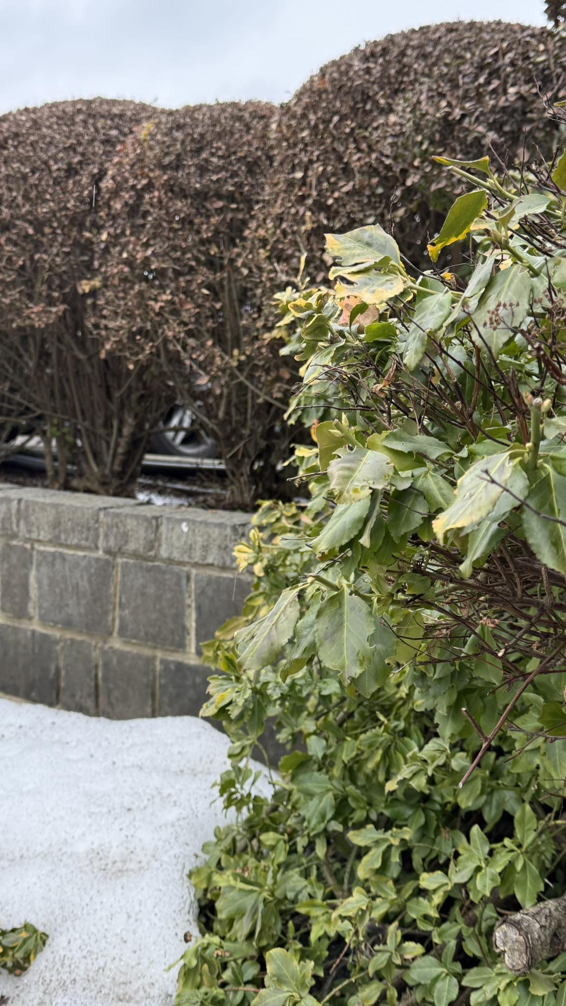 Я була неправа, Софійко. Я думала, що роблю добро для всіх, а насправді ледь не зламала синові життя. Він зараз дуже змінився. Став жорсткішим, зі мною майже не говорить про особисте. Тільки «як здоров’я» і все. — Це його вибір, Валентино Петрівно. Він вчиться жити самостійно. — Я знаю, що ти його не вибачиш. І не треба, напевно. Ти сильна, ти молодець. Я просто хотіла, щоб ти знала: я більше не втручаюся. Я навіть хату ту в селі продала, щоб частину його боргу закрити. Переїхала в маленьку кімнатку в передмісті. Софія була здивована. Це було останнє, чого вона чекала від цієї жінки. — Чому ви це зробили? — Бо коли Максим прийшов до мене в той день, коли ти пішла… я вперше побачила в його очах не любов до матері, а справжню порожнечу