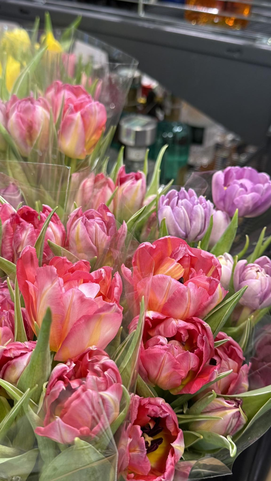 Слухай, я не хотіла бути тією, хто приносить погані новини. Але коли бачиш людину щочетверга в одному й тому самому магазині з жінкою, яка точно не ти… стає якось ніяково. — З ким він був? — Як би тобі сказати… Пам’ятаєш Ганну? Ну, ту, з довгим волоссям, що в нас у відділі працювала? Дружина вашого кума Максима. Марина відчула, як у роті пересохло. Ганна. Ганнуся. «Красуня-волошка», як її колись жартома називали в їхній компанії. Вони ж разом на свята збиралися, разом дітей у табори відправляли. Сергій і Максим дружили ще з інституту. — Вони купують вино, якісь закуски, фрукти… — продовжувала Олена, вже не криючись. — Виглядають дуже щасливими. Я спочатку думала, може, ви розійшлися, а я просто не в курсі. Бо серед людей так не поводяться, коли вдома чекає законна половина. Марина поклала слухавку. Вона дивилася на стіни своєї квартири і не впізнавала їх. Оці шпалери вони вибирали разом. Цей диван купували, коли Сергію дали премію. Все навколо було просякнуте його присутністю, яка тепер здавалася непотрібною