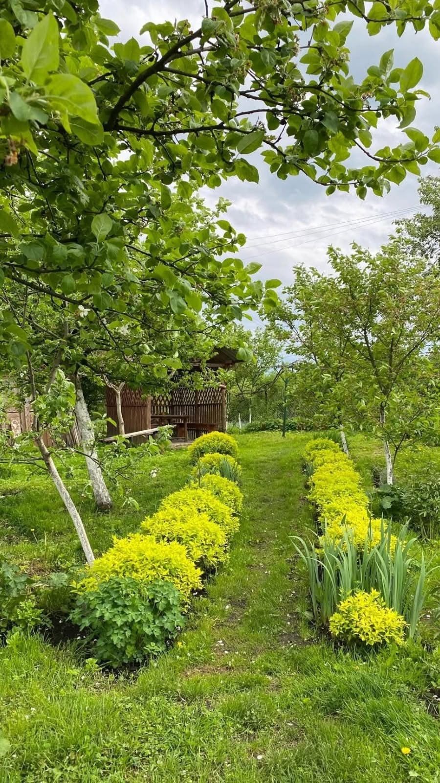 — Як це — вам дачу? А Інні що?! — Мамо, Інні — твоя квартира! — терпляче повторила Анжела. — А нам — дача. Ми хочемо її перебудувати. Але просто так, у чуже, вкладатися не будемо. А Інна ж сама сказала, що дача їй не потрібна. — Їй — не потрібна, — кивнула мама.