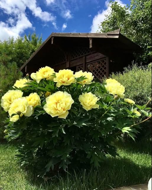 – Я своє не віддам. Двадцять років – це моє, розумієш? Двадцять років… А ти… ти просто зіскочила на чужий поїзд. Але це не твій маршрут. Не твоя станція