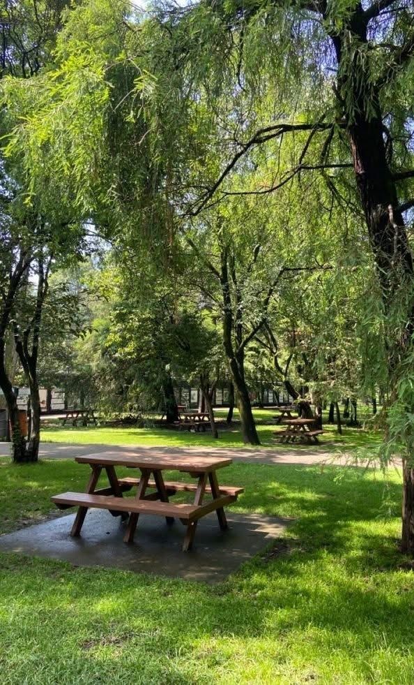 – Мені не подобається ця булочка, збігай, купи іншу, – говорила Юля Олені, і та бігла купувати іншу булочку. – Якщо ти негайно не припиниш співати, мене знудить! – говорила Юля, і Олена припиняла співати. – Іди геть. Мені не подобається твій запах. І Олена йшла. – Чому ти дозволяєш їй знущатися над собою? – запитав одного разу Рома, коли Юля пішла до вбиральні – не хотіла, щоб він бачив, як у неї відходить мокрота. Чужим про хворобу Юлі вони не говорили. Але чи був Рома чужим? Олені подобалося, як він сміється, подобалася ямочка у нього на щоці і те, як він прямо дивиться в очі. – У Юлі складний характер, – ухильно відповіла Олена. – Але я її все одно люблю…