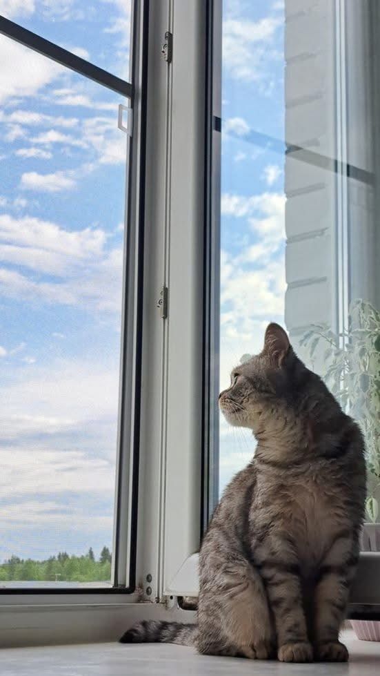 — Ви мені тепер абсолютно чужі люди. Я помилилася щодо сім’ї